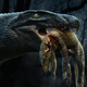 Illustration for article titled Ready For Some Croc-on-Croc Violence? Cretaceous Crocs Ate Each Other